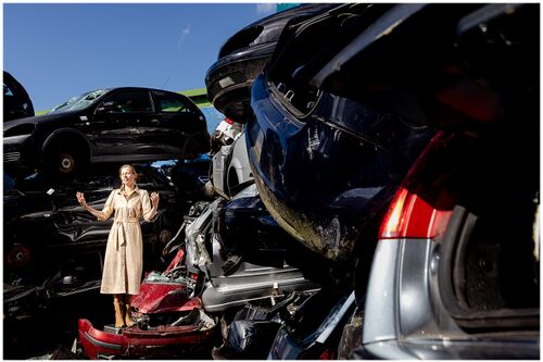 Arise from the ashes